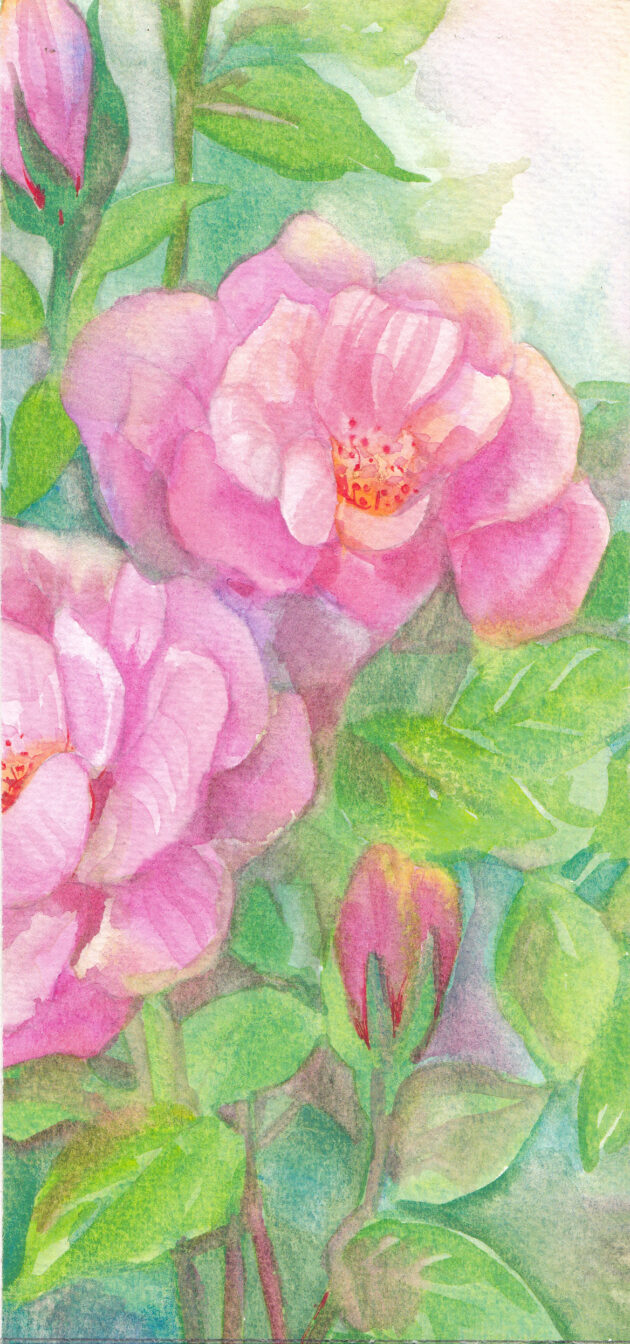 Pidulikud kaardid akvarellis