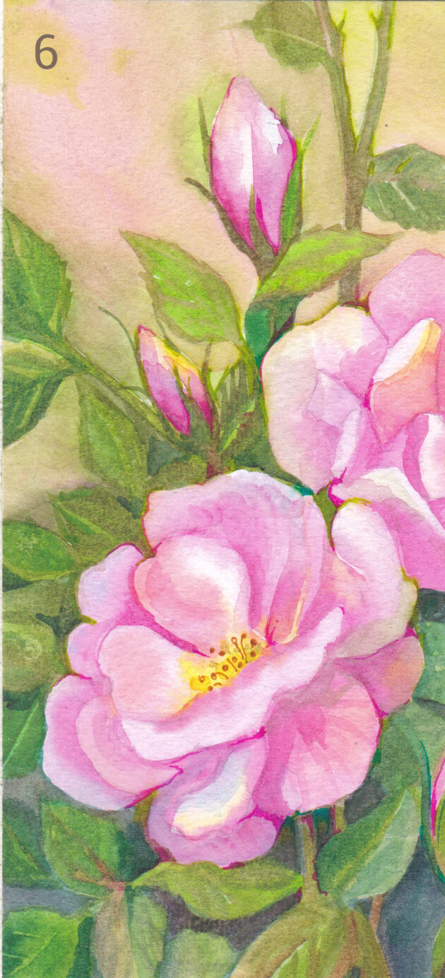 Pidulikud kaardid akvarellis