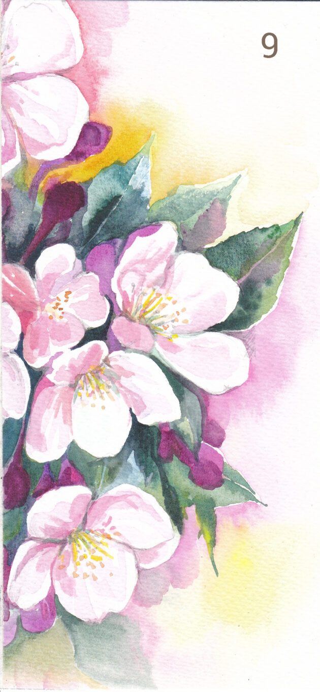 Pidulikud kaardid akvarellis